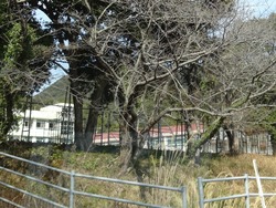 手熊小学校