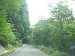 多良岳横断道路02-1