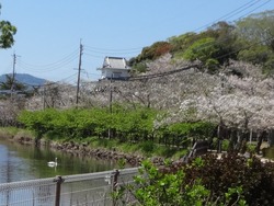 大村公園02-6