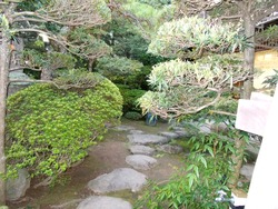 八坂町02-7