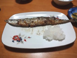 ½é¥µ¥ó¥Þ01-2