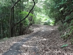 藤田尾01-6