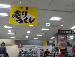 チトセピア01-2