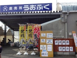 �����դ�01