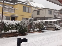 雪01