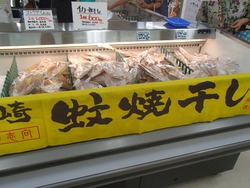 Ĺ���Ͳ�01-7