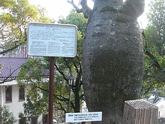 諏訪神社付近03-5