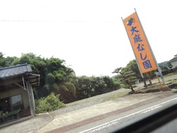 シュシュ00-1