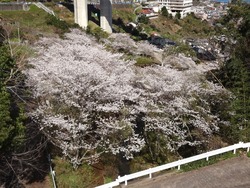 芒塚01-4