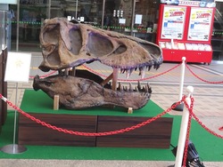 かもめ広場01-4