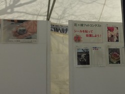 ���꡼�󥭥��ڡ���01-7