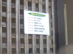 ういる02-3