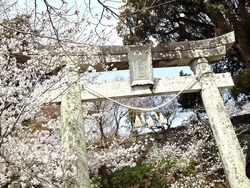 大村公園01-6