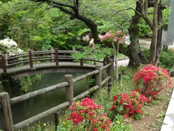 諫早公園01-3