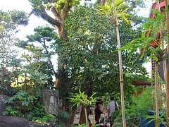 玉園町02-1