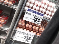 お買い物02-3