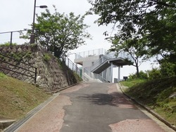 鍋冠山01-4