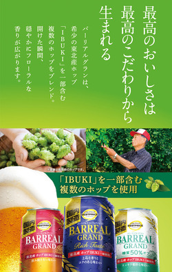 バーリアル02