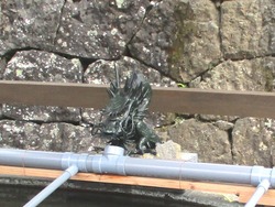八坂神社01-6
