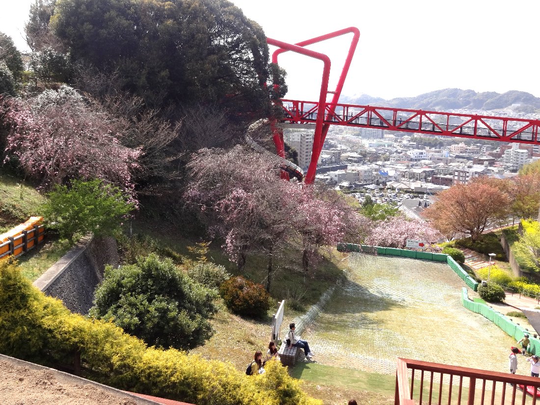 正しい休日の過ごし方 長崎の桜19 中尾城公園は花盛り Livedoor Blog ブログ