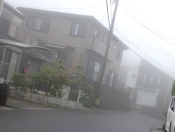 Çß±«Æþ¤ê01