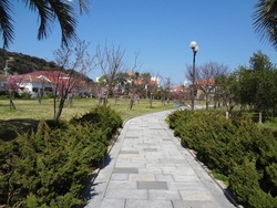 伊王島01-3