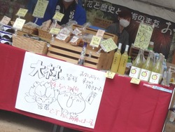 大村公園02