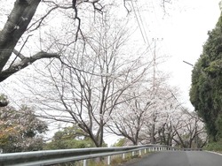 和三郎公園01-3