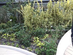 ���ߥ忷��01-6