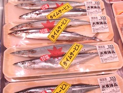 ������å�������