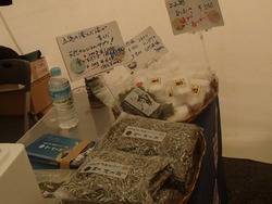 �建�ù�������02