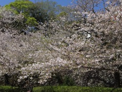 大村公園01-7