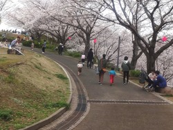 中尾城公園02