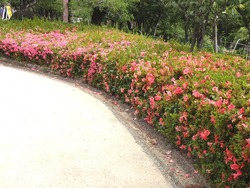 大村公園02-2