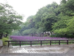 大村公園01-3