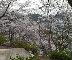 中尾城公園02