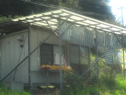 ������01-5