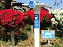 諫早公園00