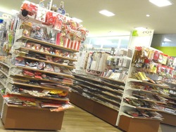 ジョイフルサン江川店02-3