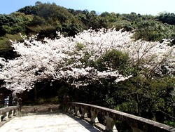 西山ダム公園01-5