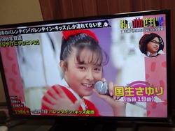 �Х�������01-2