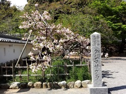 大村公園02