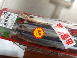 ダイレックス若葉町01-5