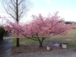 久原公園01-2
