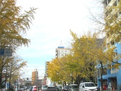 公会堂付近02