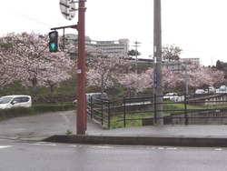 大村02-4