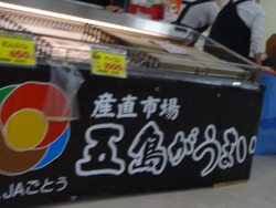 ����ʪ��Ÿ02-3
