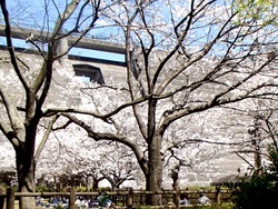 西山ダム公園02-4