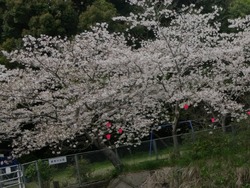 ���������01-1