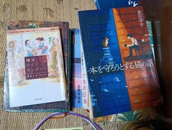 図書館の本01-2